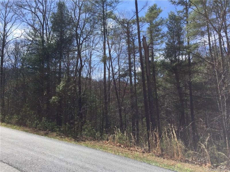 Property image 5 at Lot 11 Sovereign Lane, Fairview, NC 28730