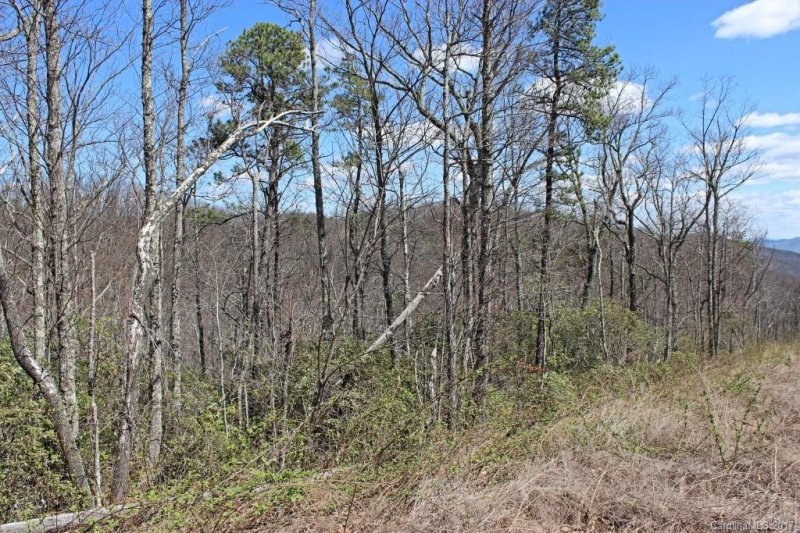 Property image 2 at 86 Big Oak Ridge, Lake Lure, NC 28746