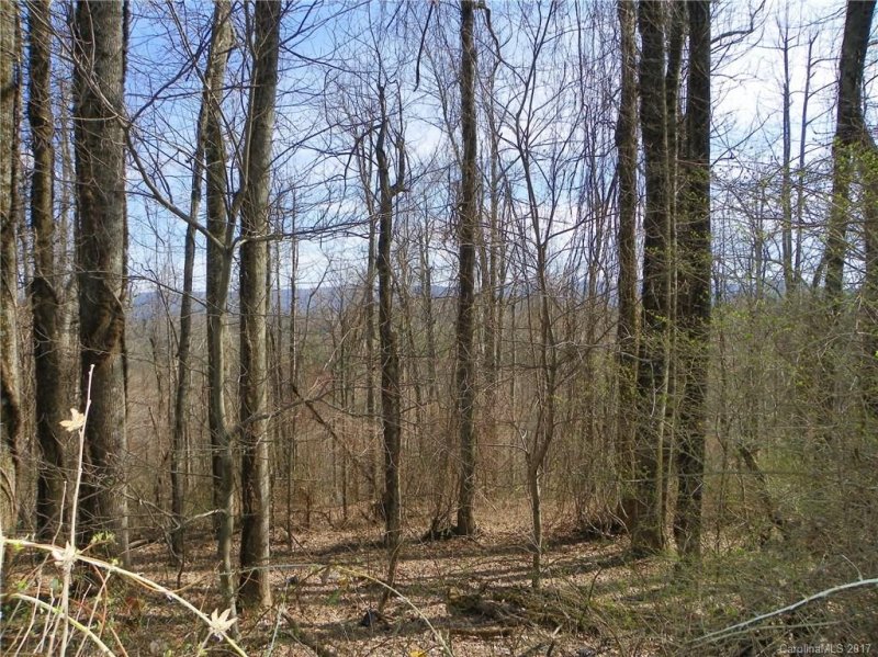 Property image 4 at Tract A Indian Cave Park Road, Hendersonville, NC 28739