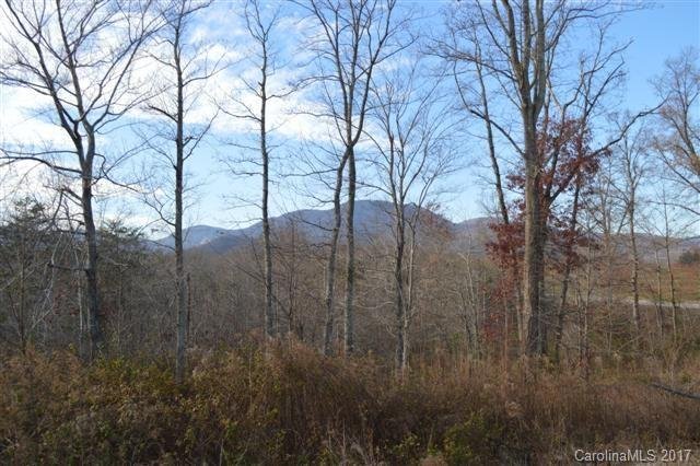 Property image 4 at 2 James Walker Lane, Landrum, SC 29356