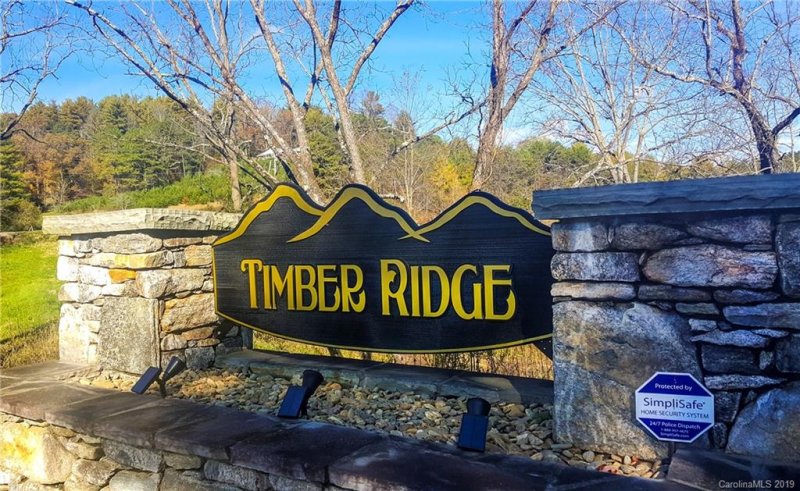 Property image 2 at 118 Timber Ridge Circle, Leicester, NC 28748