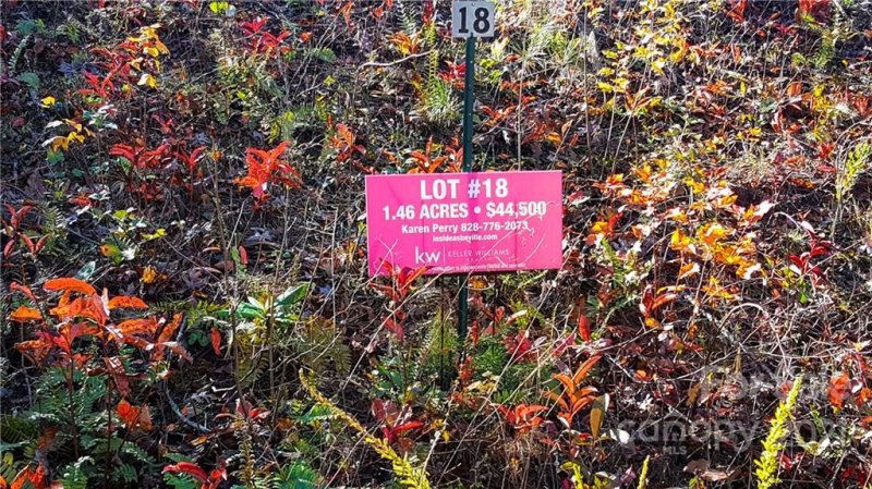 Property image 3 at 81 Timber Ridge Circle, Leicester, NC 28748