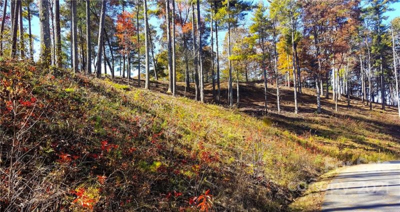 Property image 4 at 81 Timber Ridge Circle, Leicester, NC 28748