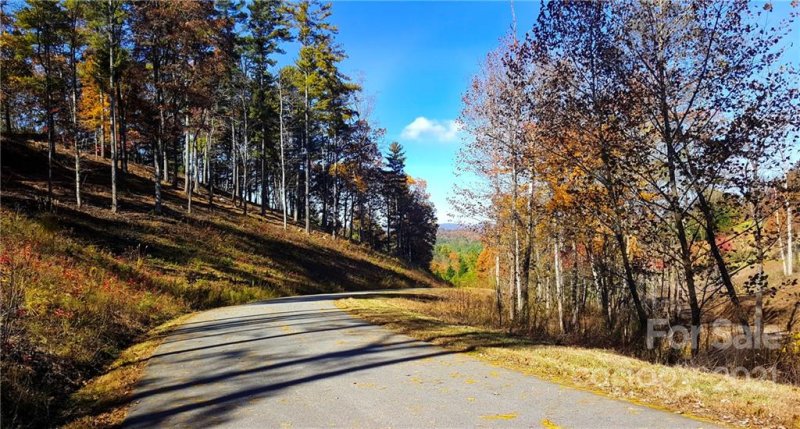 Property image 5 at 81 Timber Ridge Circle, Leicester, NC 28748