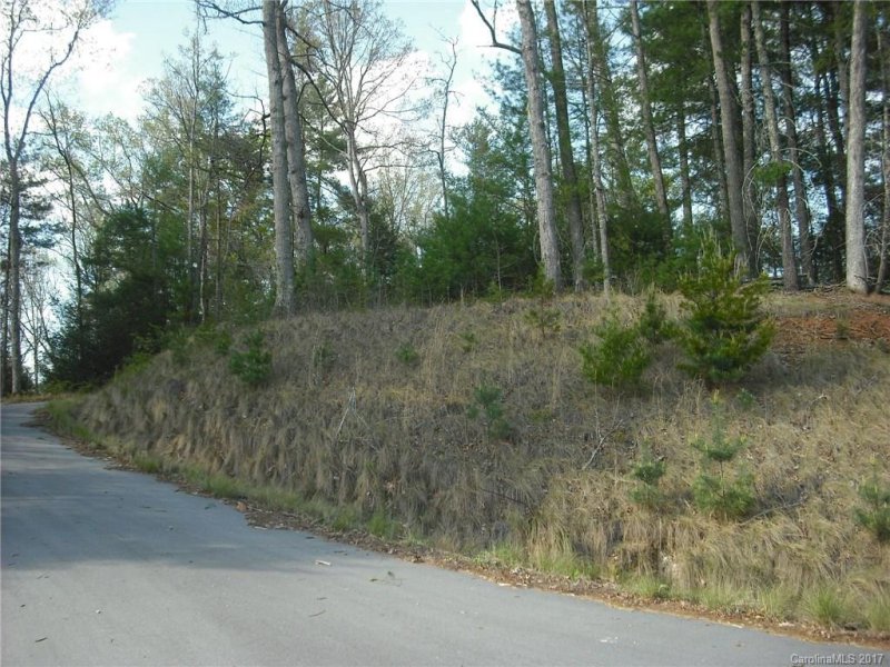 Property image 5 at 5 Hunting Ridge Lane, Leicester, NC 28748