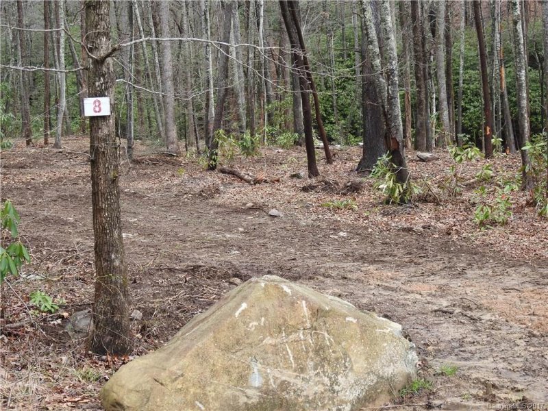 Property image 3 at 960 Wash Freeman Road, Hendersonville, NC 28792