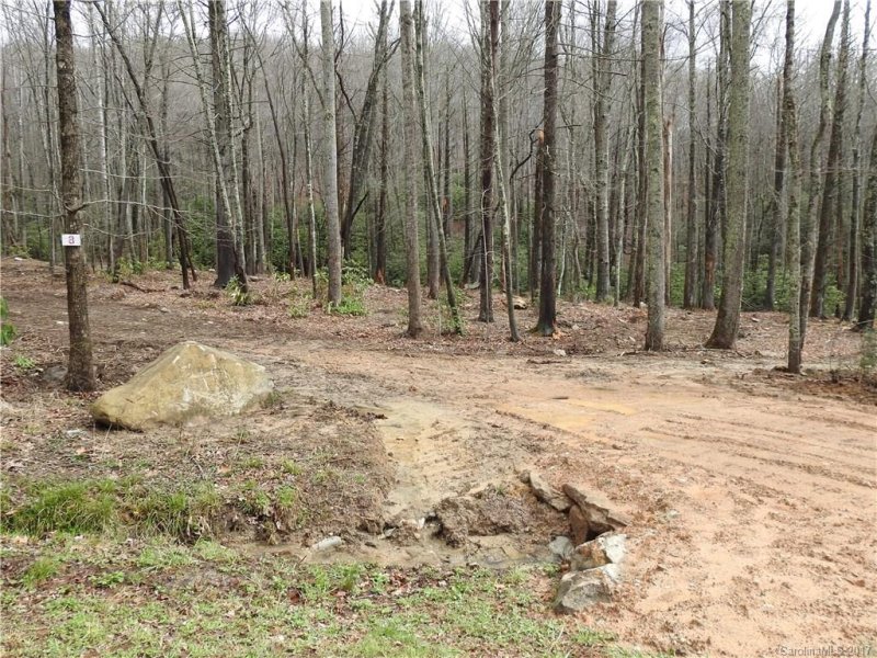 Property image 4 at 960 Wash Freeman Road, Hendersonville, NC 28792