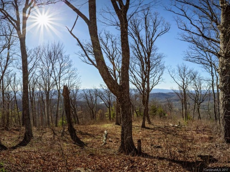 Property image 4 at 169 Skycliff Drive, Asheville, NC 28804