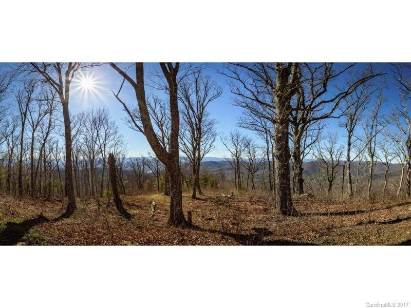 Property image 5 at 169 Skycliff Drive, Asheville, NC 28804