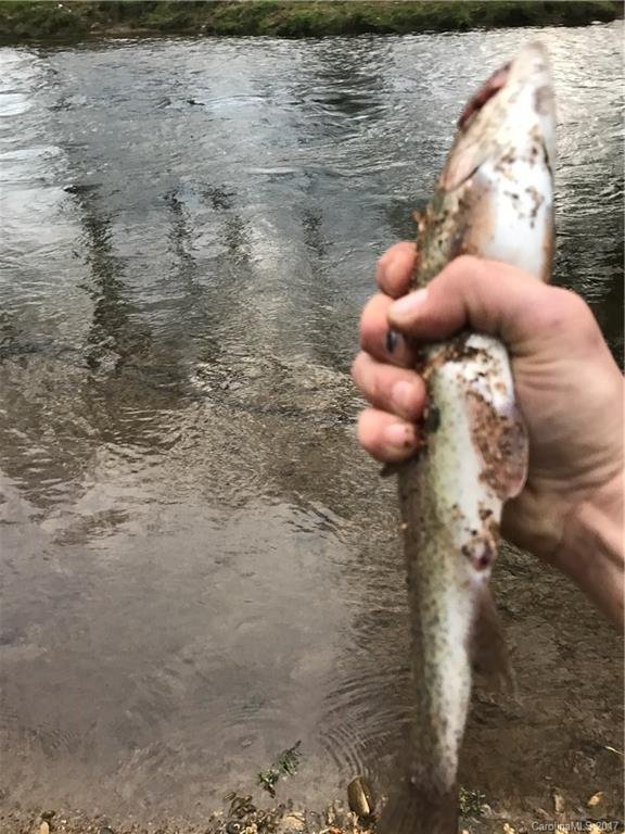 Property image 2 at 000 Woodland Drive, Waynesville, NC 28786