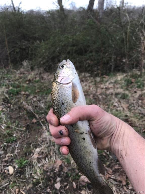 Property image 3 at 000 Woodland Drive, Waynesville, NC 28786