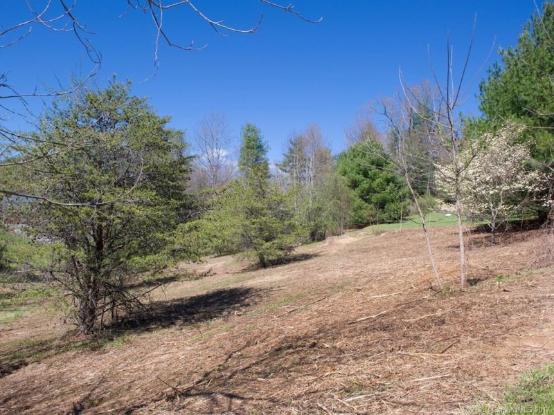 Property image 4 at 253 Sugar Hollow Road, Hendersonville, NC 28739