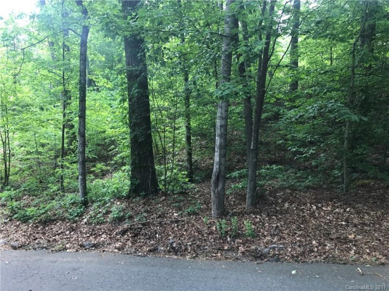 Property image 2 at 6 Coneflower Court, Black Mountain, NC 28711