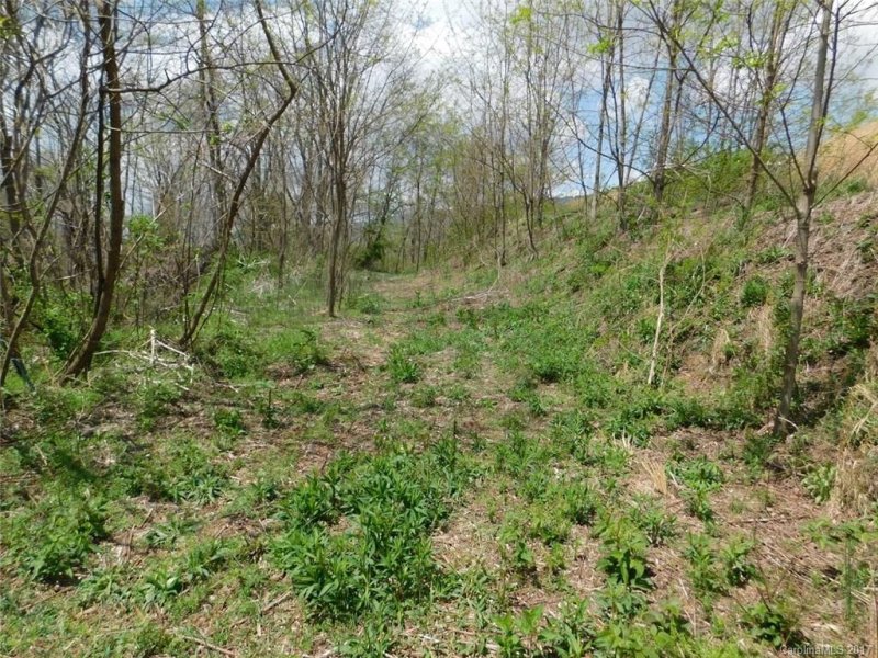 Property image 2 at 106 Gordon Drive, Waynesville, NC 28786