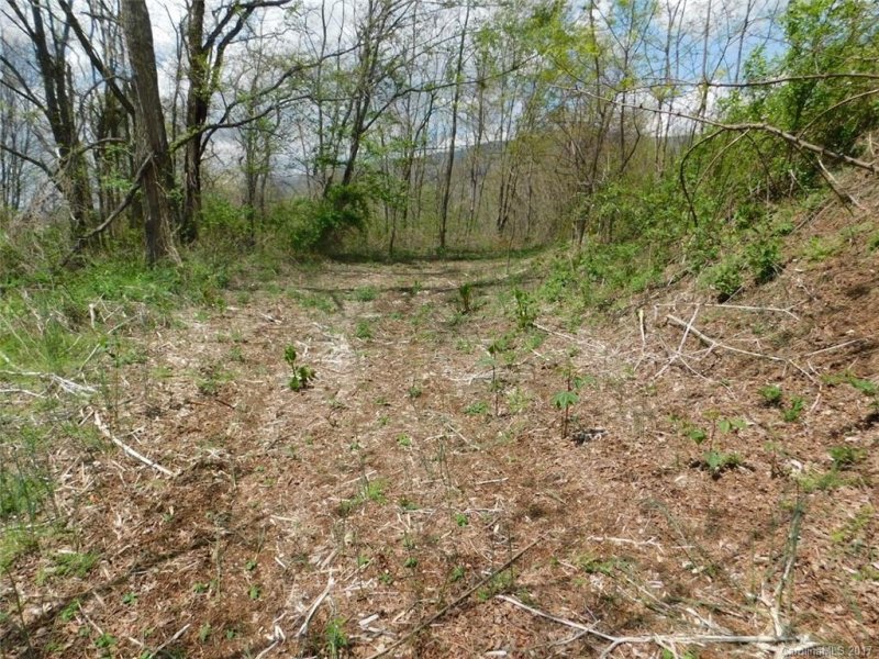 Property image 3 at 106 Gordon Drive, Waynesville, NC 28786