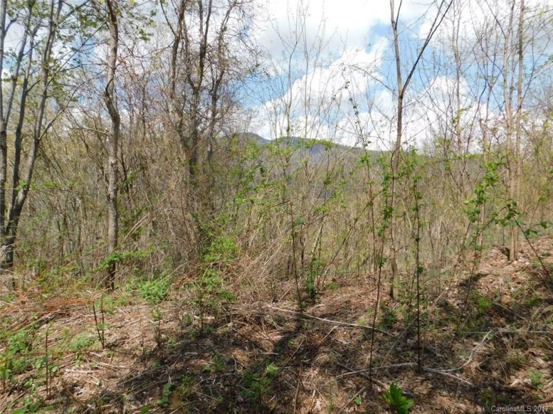 Property image 5 at 106 Gordon Drive, Waynesville, NC 28786