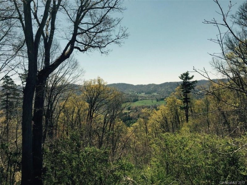 Property image 2 at 67 Longstreet Court, Weaverville, NC 28787