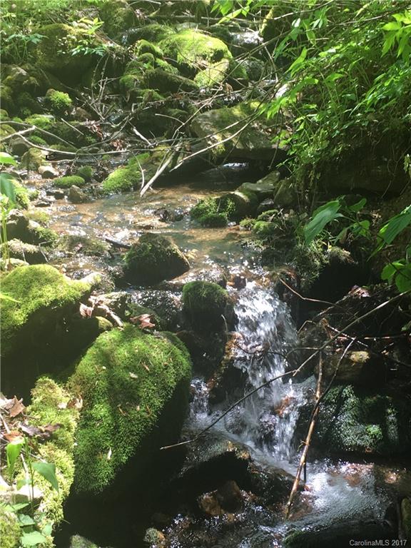000 Smoke Vine Trail