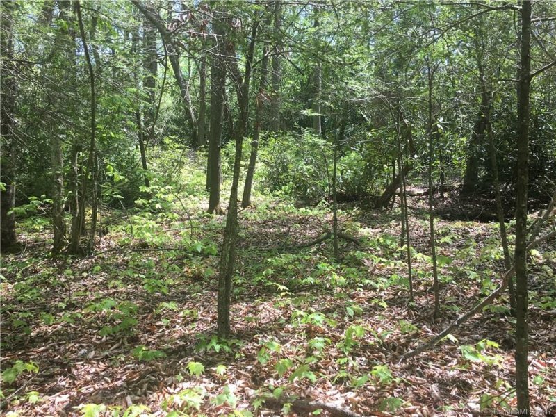 Property image 2 at 000 Smoke Vine Trail, Clyde, NC 28721