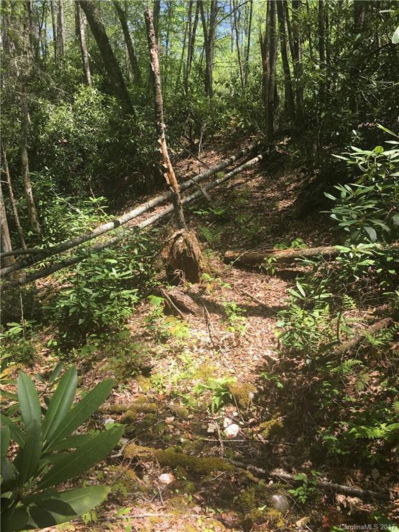 Property image 3 at 000 Smoke Vine Trail, Clyde, NC 28721