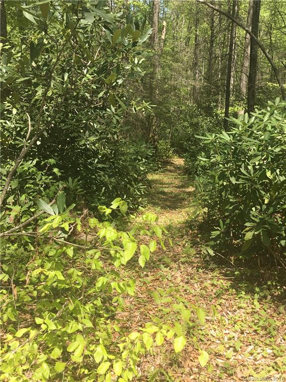 Property image 4 at 000 Smoke Vine Trail, Clyde, NC 28721