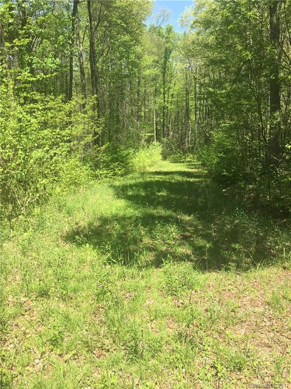 Property image 5 at 000 Smoke Vine Trail, Clyde, NC 28721