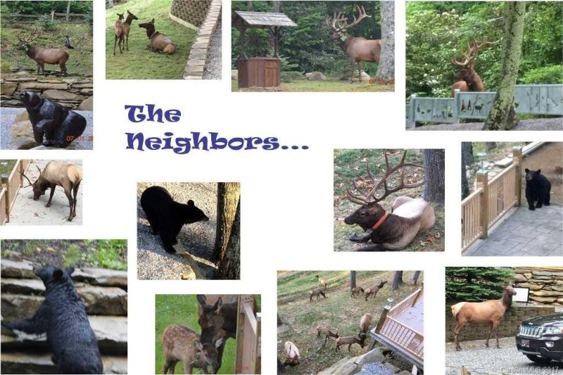 Property image 4 at 894 Huckleberry Drive, Maggie Valley, NC 28751