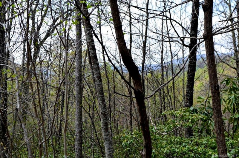 Property image 2 at 104 Carriage Drive, Fairview, NC 28730