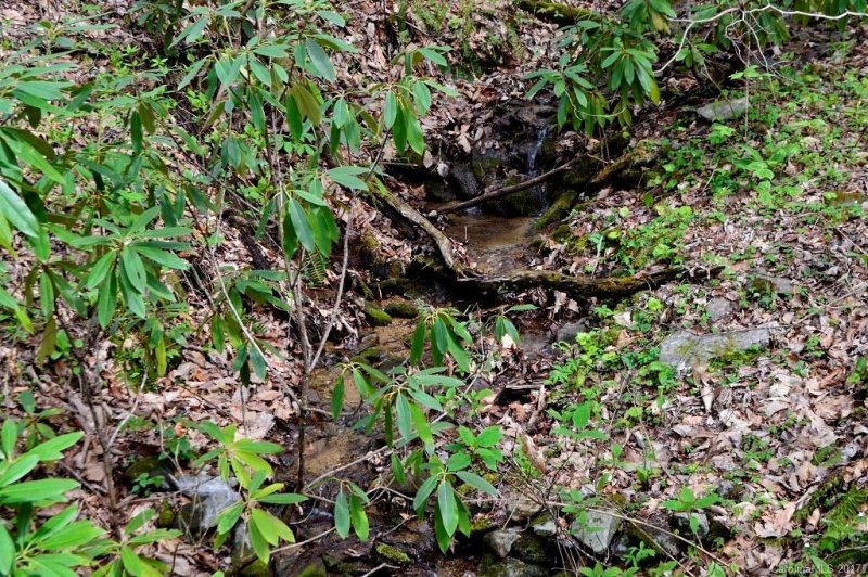 Property image 3 at 104 Carriage Drive, Fairview, NC 28730