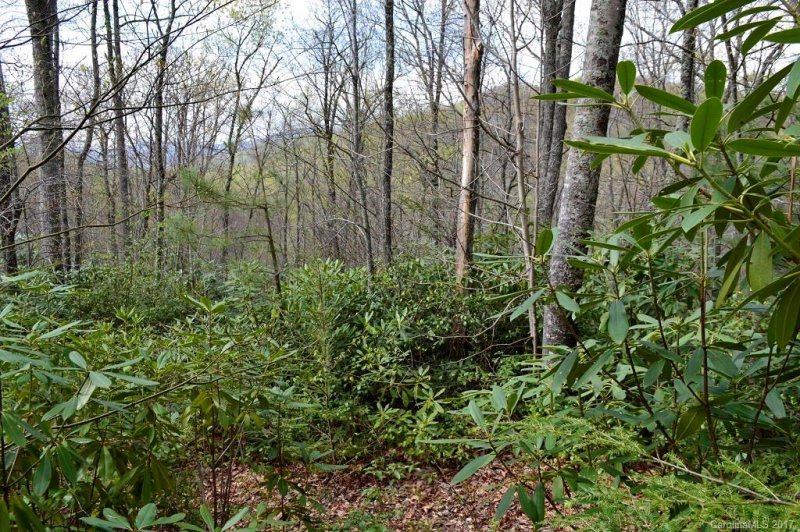 Property image 5 at 104 Carriage Drive, Fairview, NC 28730