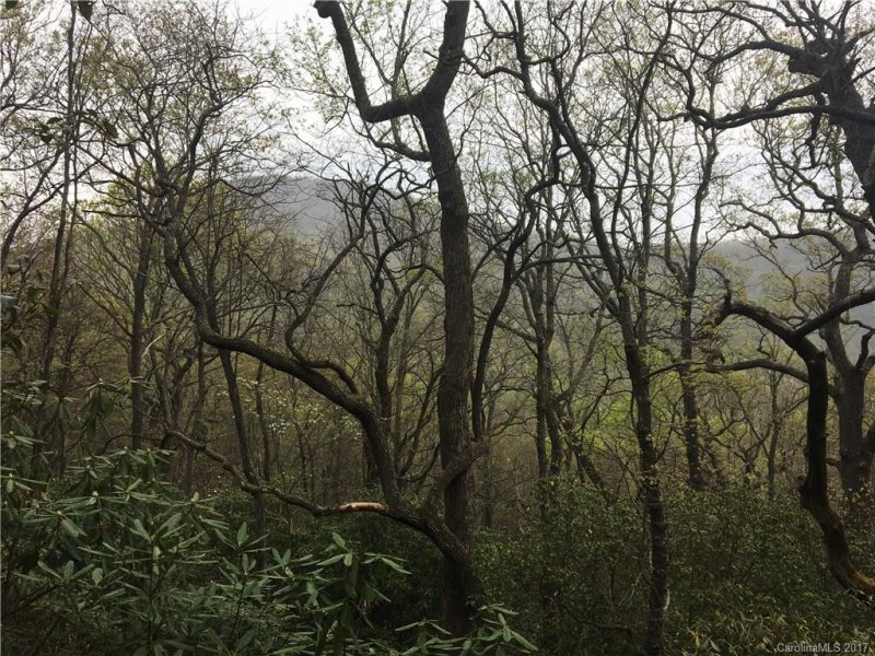 Property image 4 at 9999 Old Mill Road, Hendersonville, NC 28792