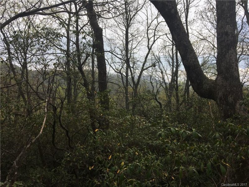 Property image 2 at 9999 Old Mill Road, Hendersonville, NC 28792