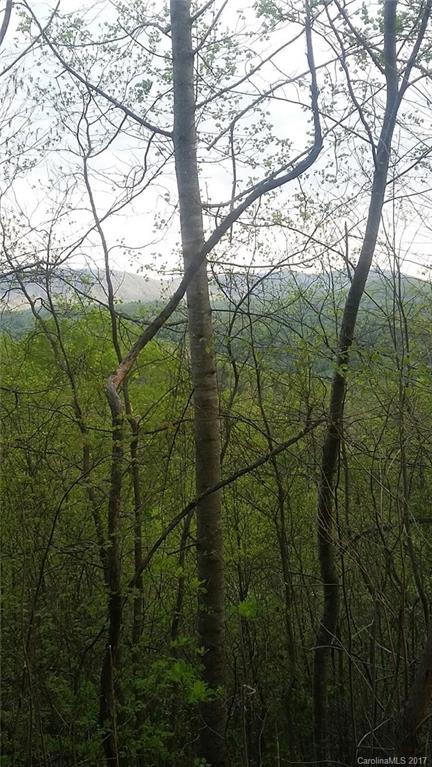 Property image 2 at 204 Rambling Trail, Hendersonville, NC 28739