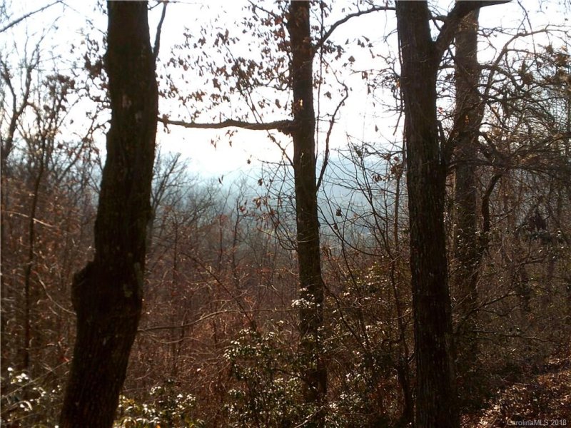 Property image 4 at 204 Rambling Trail, Hendersonville, NC 28739