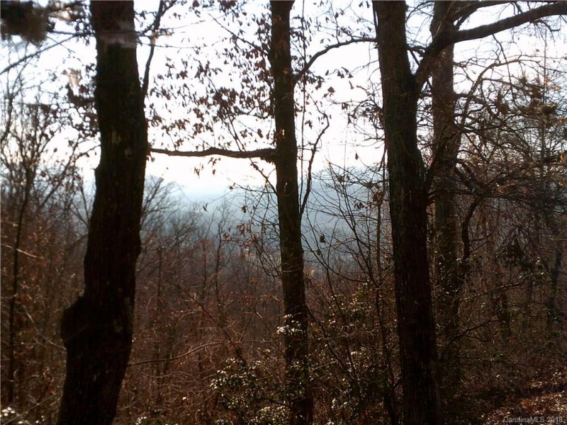 Property image 5 at 204 Rambling Trail, Hendersonville, NC 28739