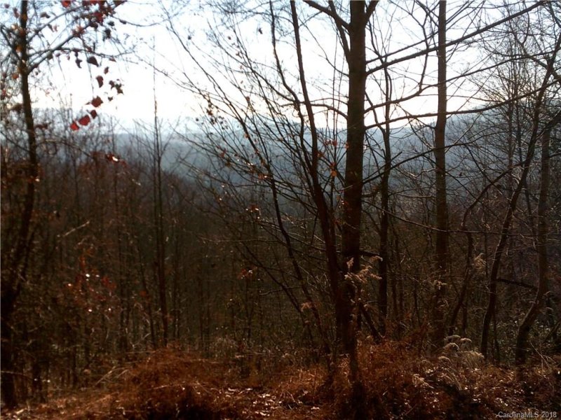 Lot 37 Rambling Trail