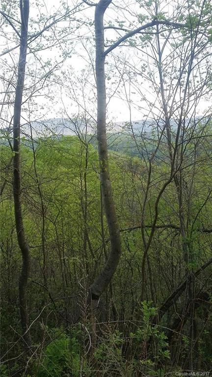 Property image 2 at Lot 37 Rambling Trail, Hendersonville, NC 28739