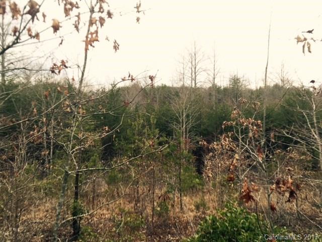 Property image 4 at Lot 40 Foresight Lane, Lake Lure, NC 28746