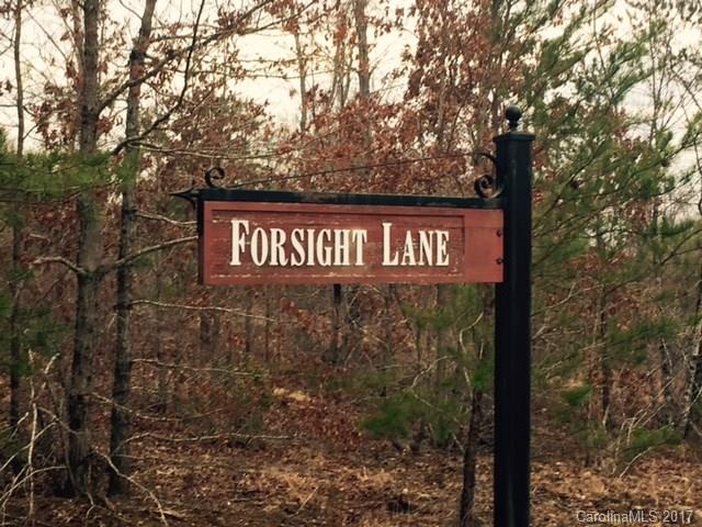 Property image 5 at Lot 40 Foresight Lane, Lake Lure, NC 28746