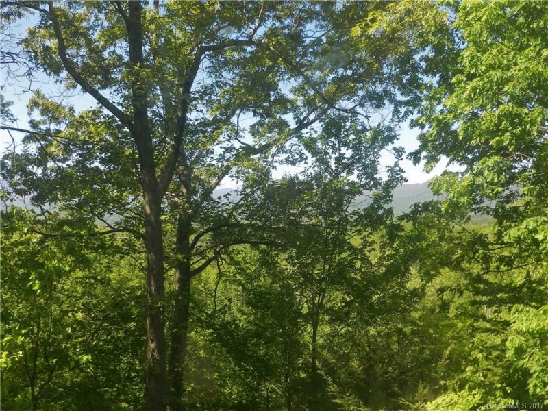 Property image 5 at 81 High Meadows Drive, Candler, NC 28715