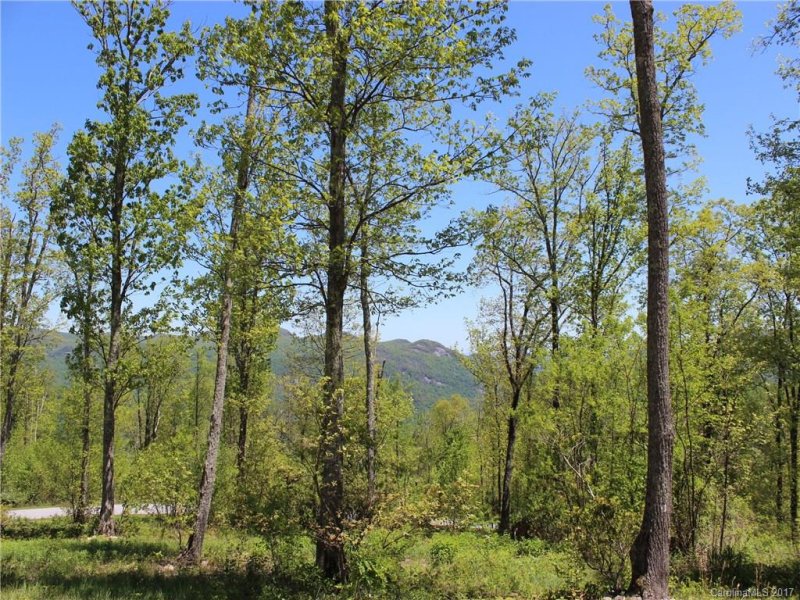 Property image 2 at Lot 37 Grand Oaks Drive, Hendersonville, NC 28792