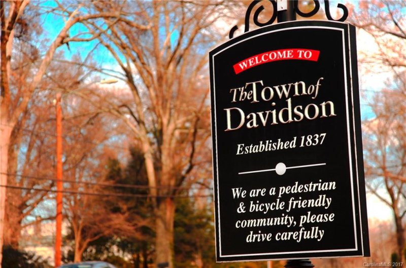 Property image 2 at 1534 Matthew Mcclure Circle, Davidson, NC 28036