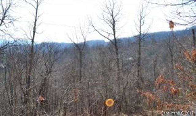 Property image 4 at 327 Water Rock Terrace, Asheville, NC 28806