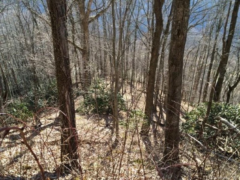 Property image 2 at Lot 43 Triple Creek Drive, Clyde, NC 28721
