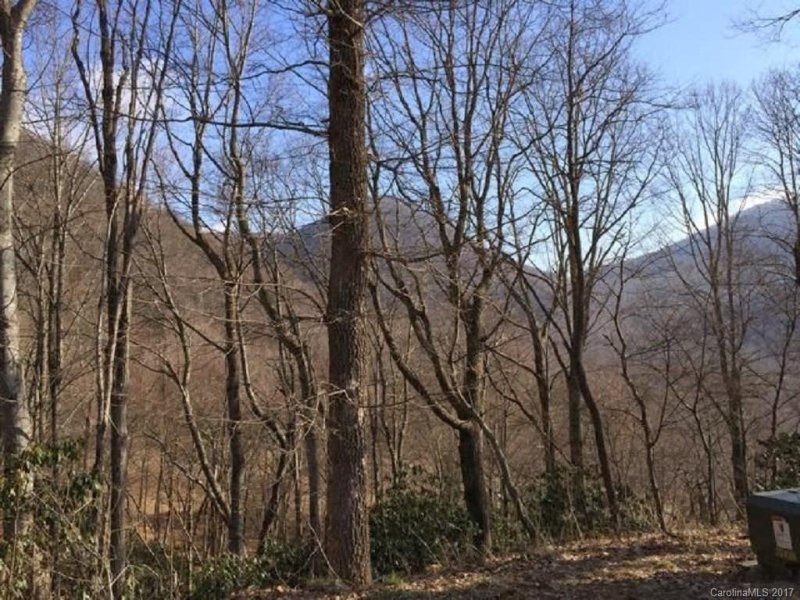 Property image 3 at Lot 43 Triple Creek Drive, Clyde, NC 28721