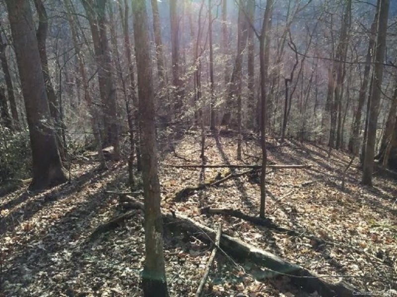 Property image 4 at Lot 43 Triple Creek Drive, Clyde, NC 28721