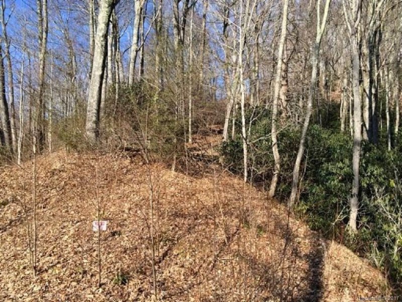 Property image 5 at Lot 43 Triple Creek Drive, Clyde, NC 28721