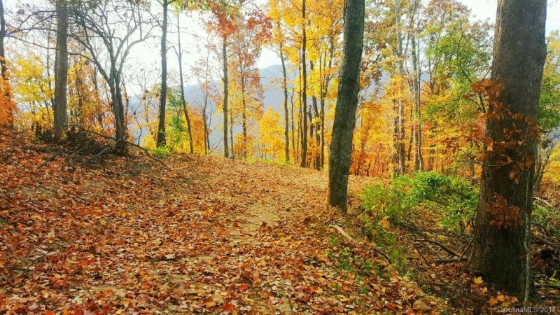 Property image 5 at 0 Wills Way, Canton, NC 28716