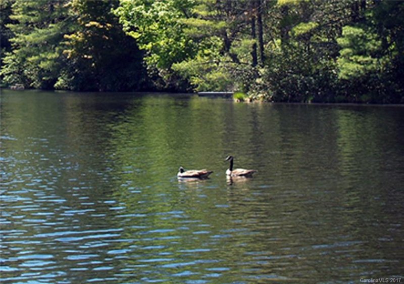 Property image 3 at Lt 233r Pine Forest Court, Sapphire, NC 28774