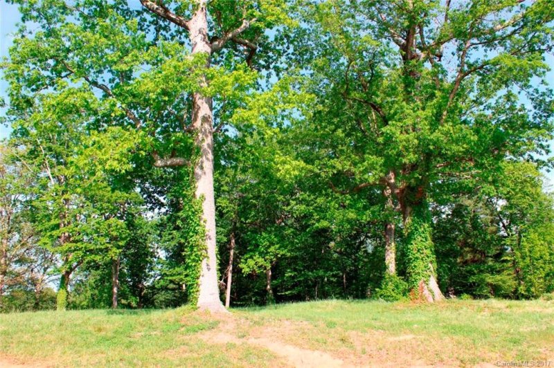 Property image 3 at 00 Ridgeview Hill Court, Hendersonville, NC 28791